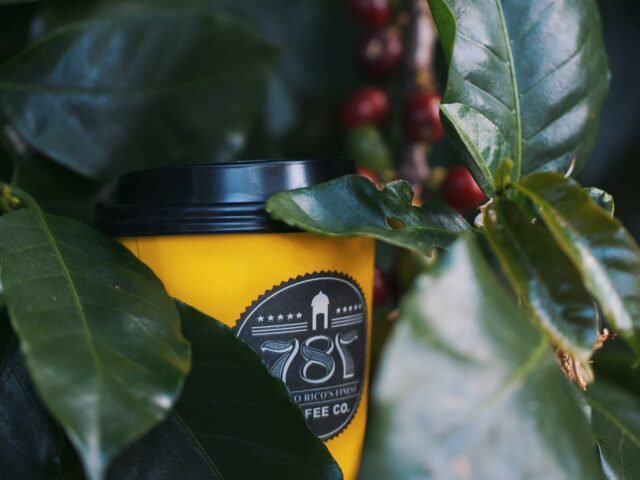 787 Coffee Co. Santurce 5