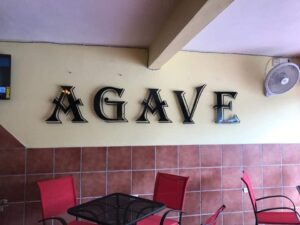 Agave Side Bar PR Luquillo