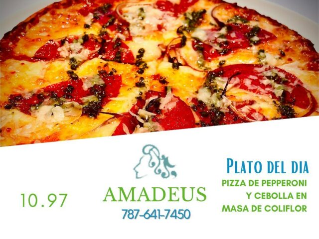 Amadeus Hato Rey 1