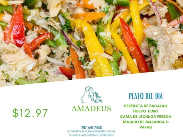 Amadeus Hato Rey 4