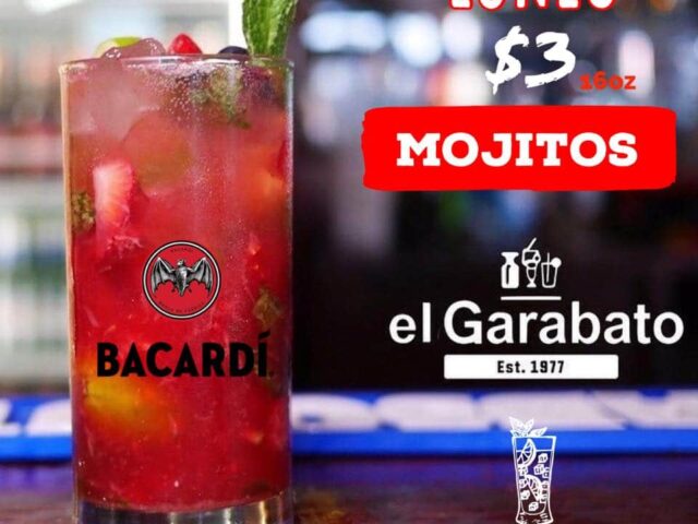 El Garabato Mayaguez 5