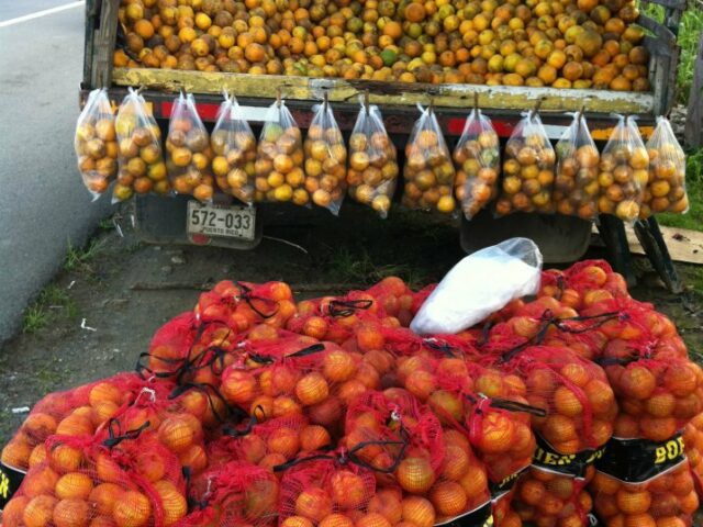 Frutera Flores Luquillo 5