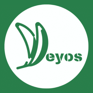Los Yeyos Restaurant
