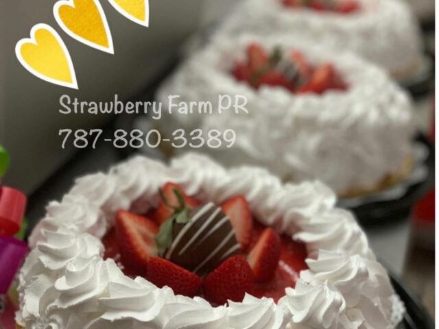 Strawberry Farm PR Arecibo 1