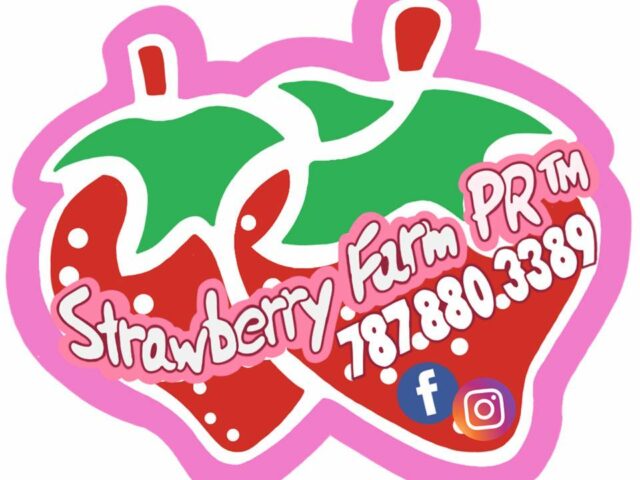 Strawberry Farm PR Arecibo
