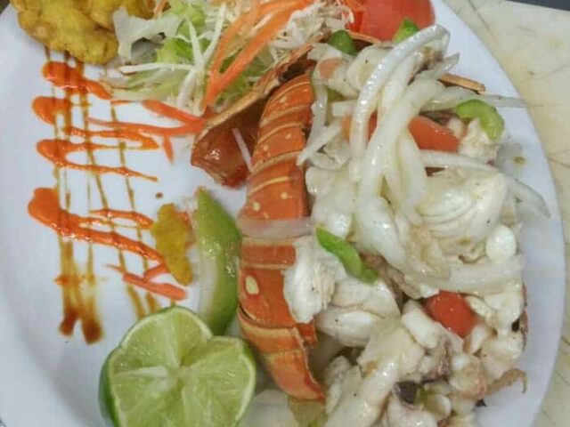 Terru√±o Luquillo 5
